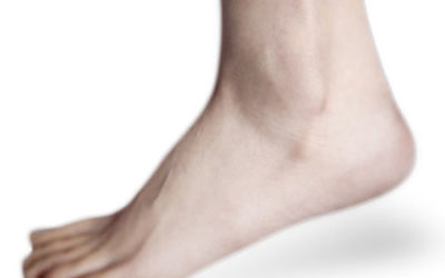 Ankle_picture