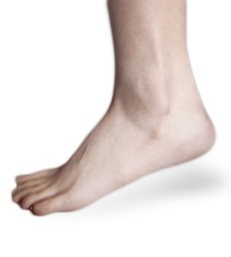 Ankle_picture