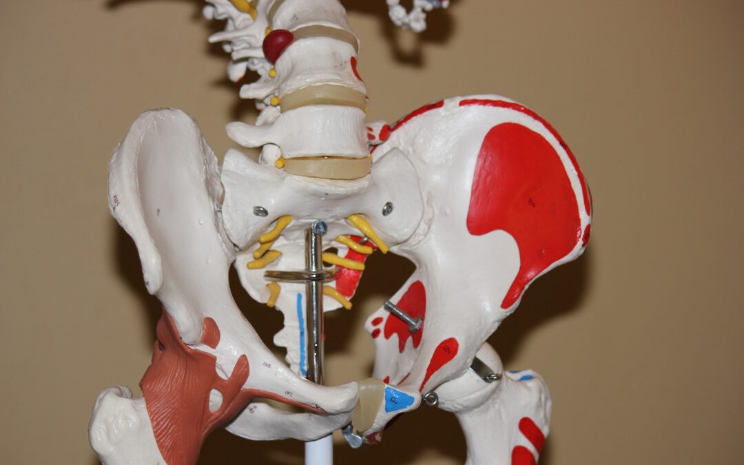 Hip Unloader Brace: The Potential is There, but Conclusions and Implications TBD